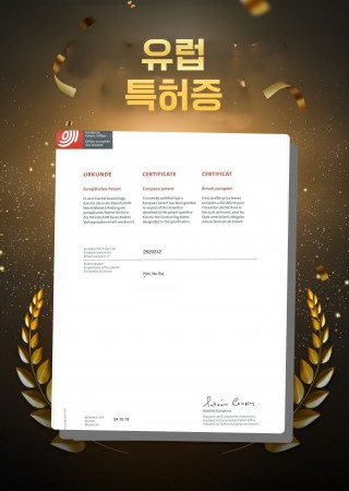NEW ENERGY Europe Patent Certificate