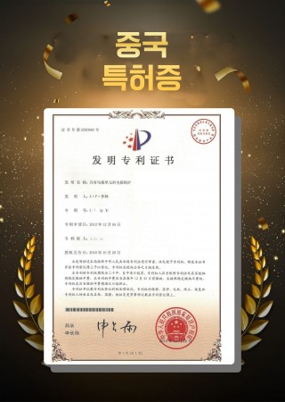 NEW ENERGY China Patent Certificate